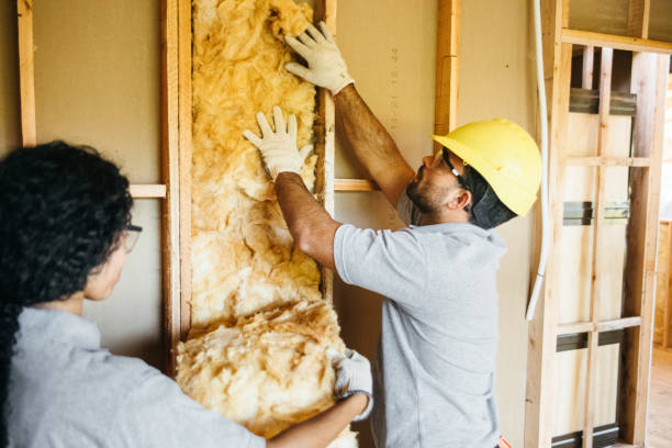 Best Cellulose Insulation  in Vinco, PA