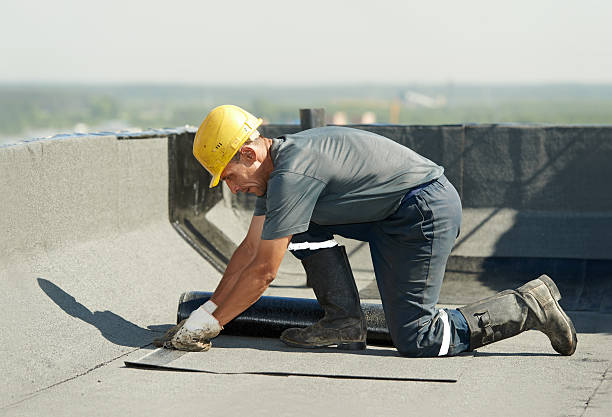 Best Crawl Space Insulation  in Vinco, PA